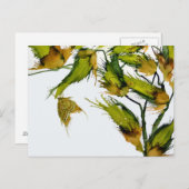 ハチドリの蝶(蝶) ポストカード (正面/裏面)