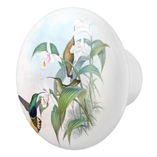 ハチドリの鳥によっては野性生物動物のノブが開花します セラミックノブ (右)