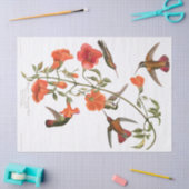 ハチドリの鳥によってAudubonはティッシュペーパーが開花します 薄葉紙 (クラフト)