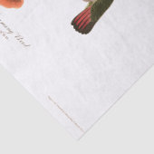 ハチドリの鳥によってAudubonはティッシュペーパーが開花します 薄葉紙 (詳細)