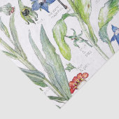 ハチドリの鳥によってStarflowerはティッシュペーパーが開花します 薄葉紙 (詳細)