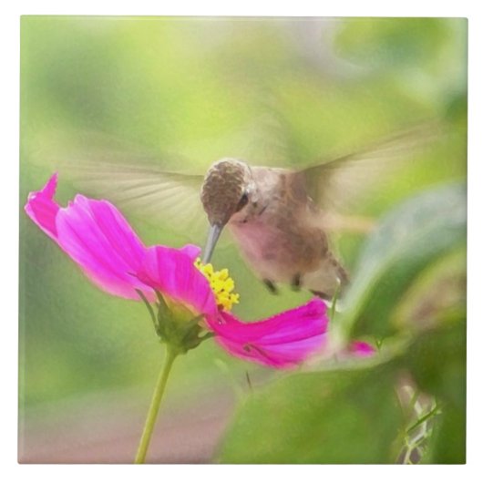 ハチドリの鳥のデイジーの花の野性生物のタイル タイル (正面)