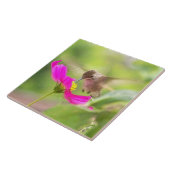 ハチドリの鳥のデイジーの花の野性生物のタイル タイル (側面)