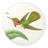 ハチドリの鳥の動物の野性生物のノブ セラミックノブ (正面)