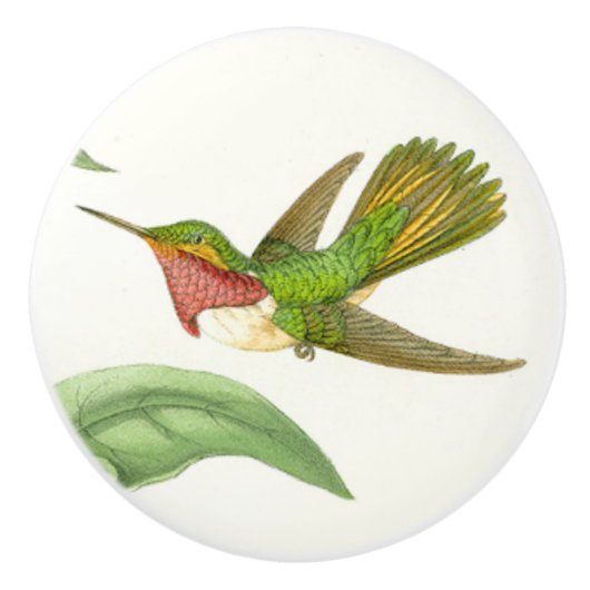 ハチドリの鳥の動物の野性生物のノブ セラミックノブ (正面)