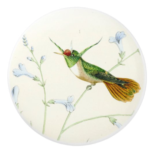 ハチドリの鳥の花の花の庭のノブ セラミックノブ (正面)