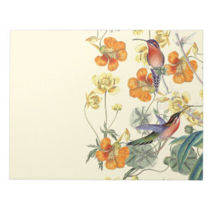 ハチドリの鳥の花の花柄の野性生物 ノートパッド