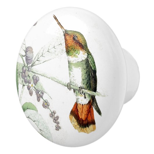 ハチドリの鳥の花の野性生物の動物の引きかノブ セラミックノブ (右)