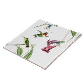 ハチドリの鳥の花花動物の野性生物 タイル (側面)