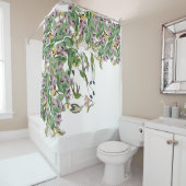 ハチドリの鳥の蘭によってはシャワー・カーテンが開花します シャワーカーテン (インサイチュ)