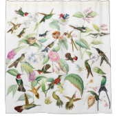 ハチドリの鳥の野性生物によってはシャワー・カーテンが開花します シャワーカーテン (正面)