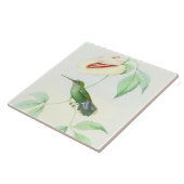 ハチドリの鳥の野性生物によっては花動物が開花します タイル (側面)