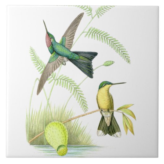 ハチドリの鳥の野性生物によっては花動物が開花します タイル (正面)