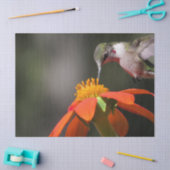 ハチドリの鳥の野性生物のヒマワリの花の花柄 薄葉紙 (クラフト)