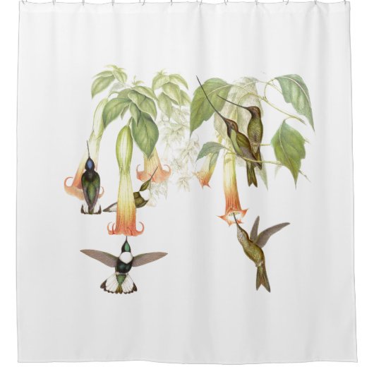 ハチドリの鳥の野性生物の花の花柄の庭 シャワーカーテン (正面)