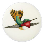 ハチドリの鳥の野性生物動物のノブ セラミックノブ (正面)