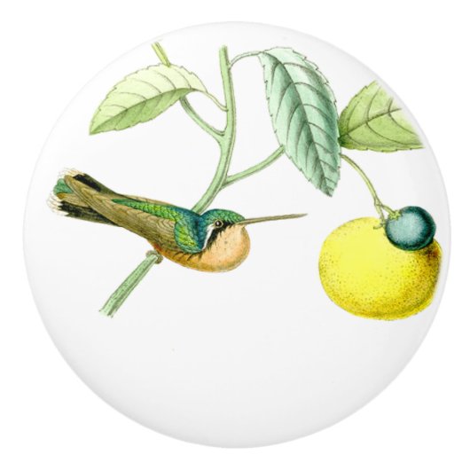 ハチドリの鳥の野性生物動物のフルーツのノブ セラミックノブ (正面)