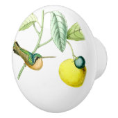 ハチドリの鳥の野性生物動物のフルーツのノブ セラミックノブ (右)