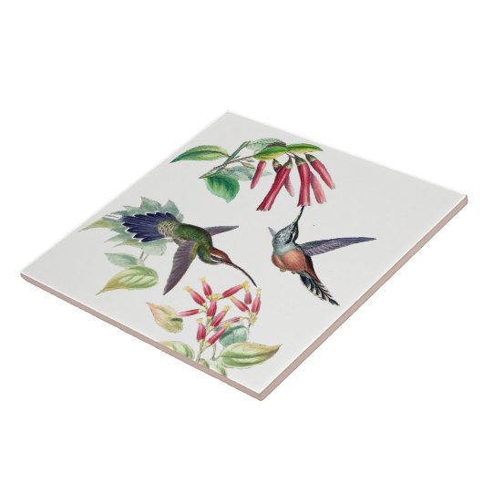 ハチドリの鳥の野性生物動物の花のタイル タイル (側面)