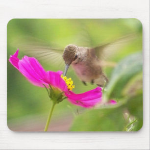 ハチドリの鳥の野性生物動物の花柄 マウスパッド