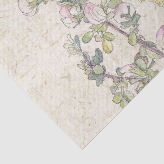 ハチドリの鳥の野生の花によってはティッシュペーパーが開花します 薄葉紙 (詳細)