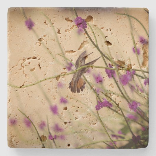 ハチドリのTravertineのコースター ストーンコースター (正面)