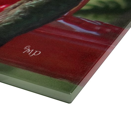 ハチドリは9508のガラスの切断板カスタマイズ カッティングボード (角)