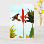 ハチドリカード(姿勢1) カード (黄色い花)