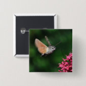 ハチドリガの浮かぶこと 缶バッジ (正面&裏面)