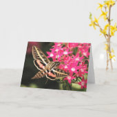 ハチドリガ カード (黄色い花)