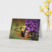 ハチドリガ、カード カード (黄色い花)