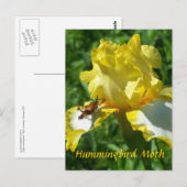 ハチドリガ ポストカード (正面/裏面)