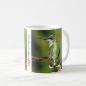 ハチドリコーヒーマグバイバーディングコレクションブルズ コーヒーマグカップ (正面右)
