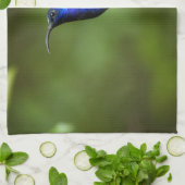 ハチドリタオル キッチンタオル (折り畳み)