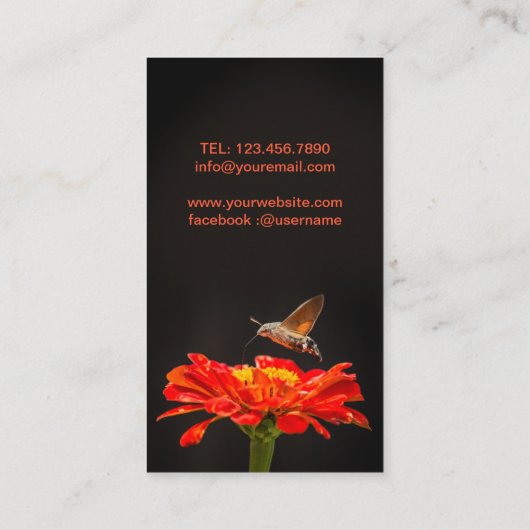 ハチドリタカガ 名刺 (裏面)