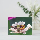 ハチドリチョウ ポストカード (スタンド正面)