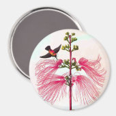 ハチドリミモザの木の花鳥ヴィンテージ マグネット (正面/裏面)