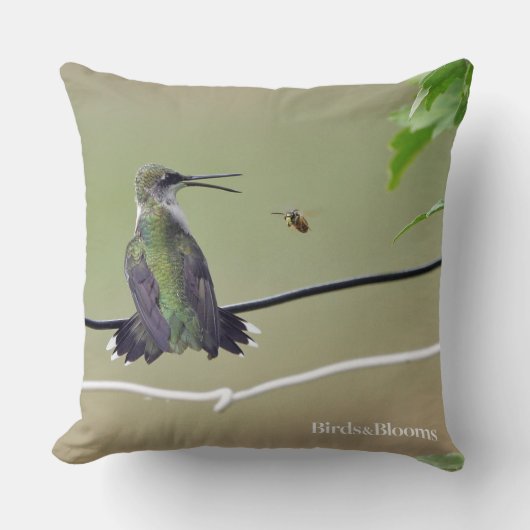 ハチドリ及び蜂蜜の蜂 クッション (正面)
