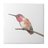 ハチドリ水彩 タイル (正面)