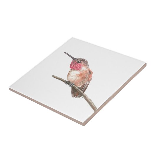 ハチドリ水彩 タイル (側面)