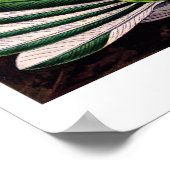 ハチドリ科ポスター ポスター (角)