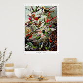 ハチドリ科ポスター ポスター (キッチン)