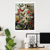 ハチドリ科ポスター ポスター (ホームオフィス)