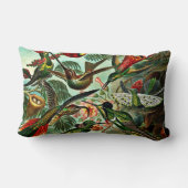 ハチドリ科 – ハチドリ ランバークッション (裏面)