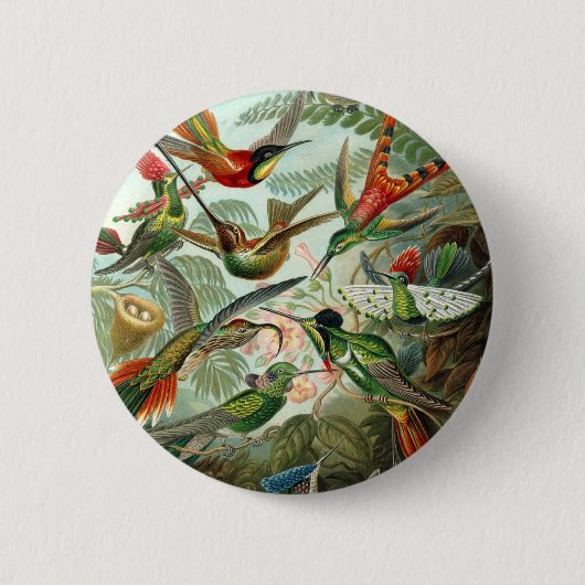 ハチドリ科(Trochilidae) by Haeckel Button 缶バッジ (正面)