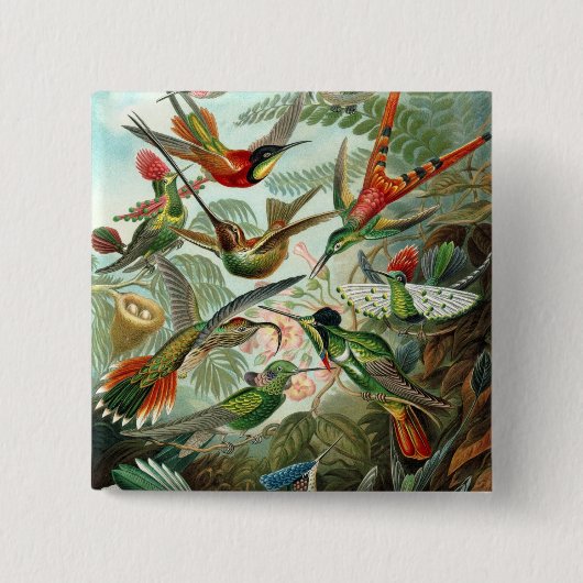 ハチドリ科(Trochilidae) by Haeckel Button 缶バッジ (正面)