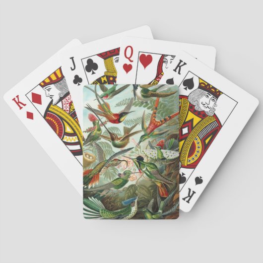 ハチドリ鳥の野生生物絵画クラシック トランプ (裏面)