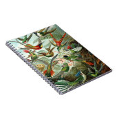 ハチドリ鳥の野生生物絵画クラシック ノートブック (右側)