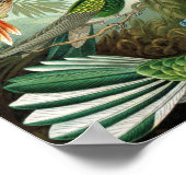 ハチドリ鳥の野生生物絵画クラシック ポスター (角)