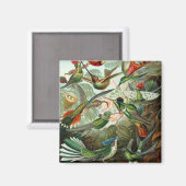 ハチドリ鳥の野生生物絵画クラシック マグネット (正面/裏面)